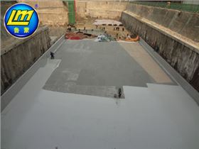 地下底板LM复合防水涂料 (3).JPG