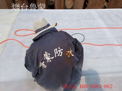 卷材耐根穿刺.jpg