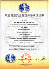 【鲁蒙】职业健康安全管理认证证书